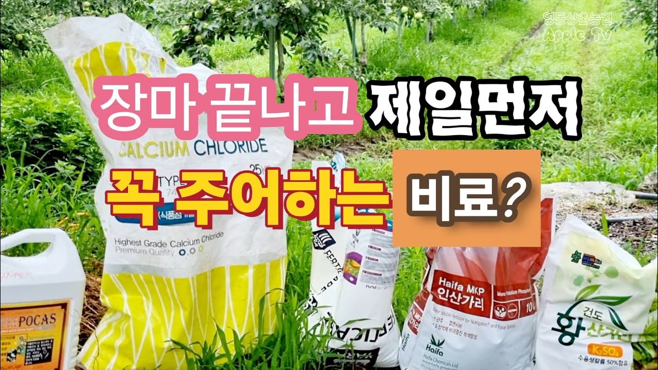 장마가 끝나면 제일 먼저 줘야 하는 비료