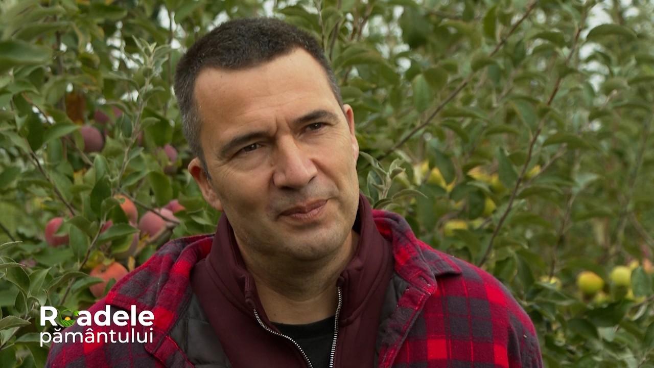Agrivoltaicele; Reprofilarea profesională; Pasărea colibri #Roadelepamantului