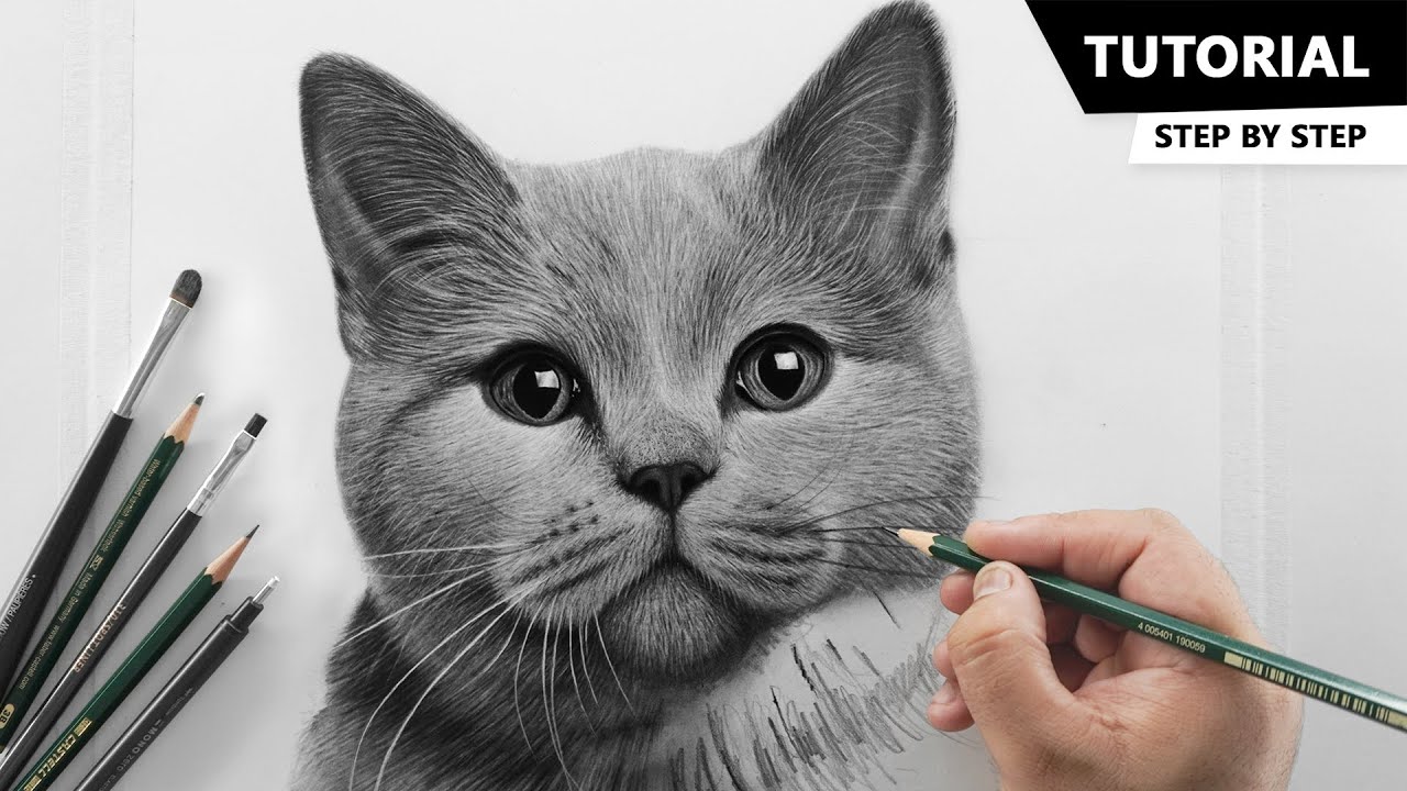 Как нарисовать реалистичную кошку для НАЧИНАЮЩИХ | Техника рисования меха