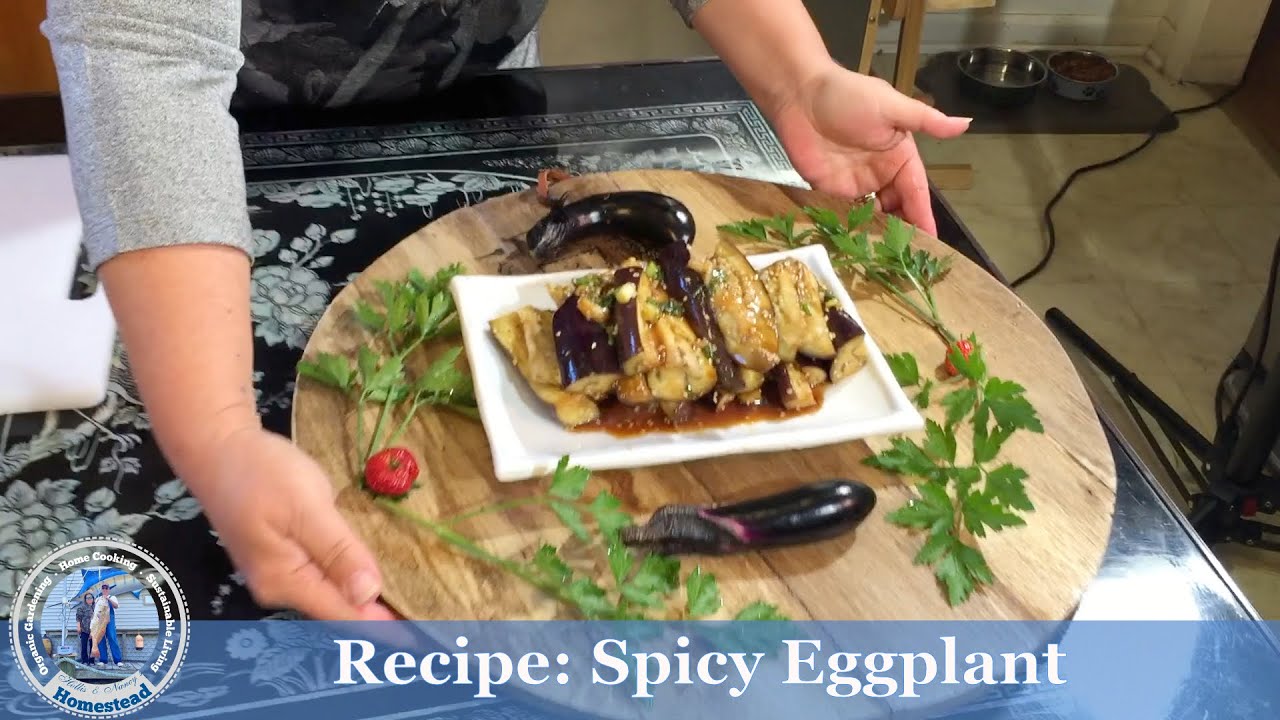 Recipe : Spicy Eggplant