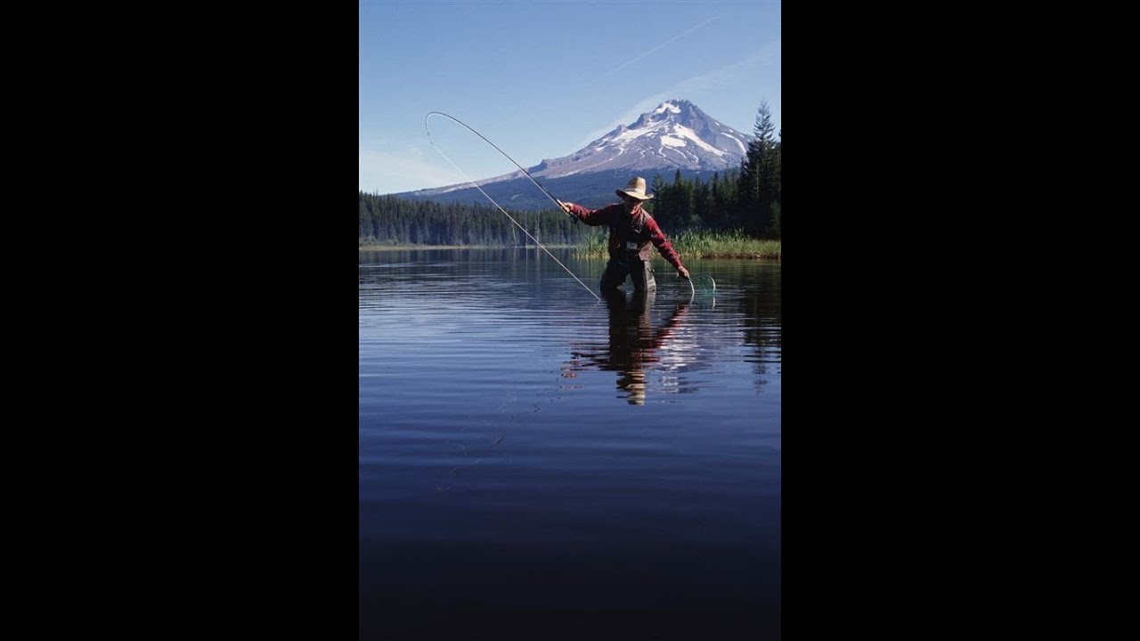 LFV, Fische und Fischerei, Teil 1, Salmoniden (VTS_01_2