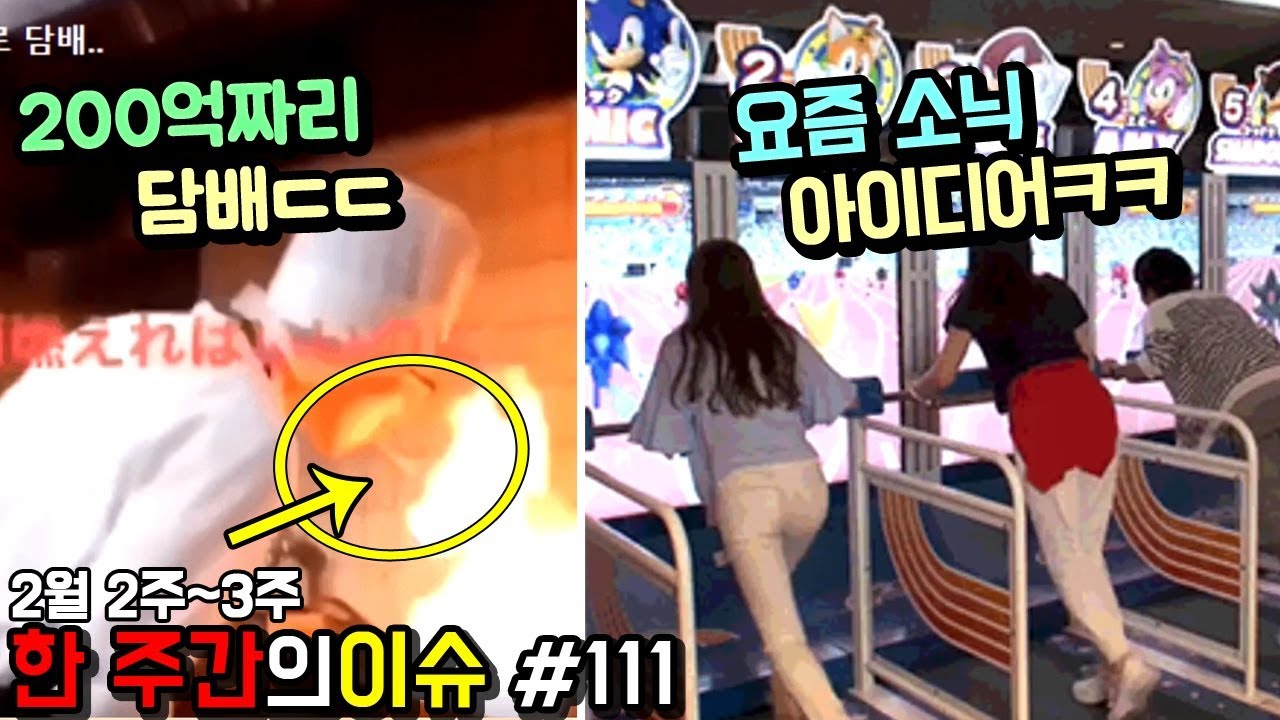 '인스타 짤 한개로 200억 날린 일본인 ㄷㄷ' 요즘 화제가 된 웃긴 사진들 백열한번째_웃긴영상