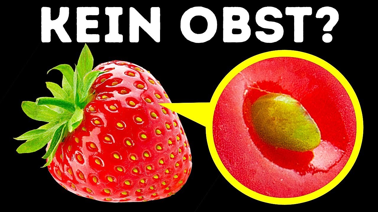 Diese verborgenen Merkmale werden dein ganzes Leben infrage stellen