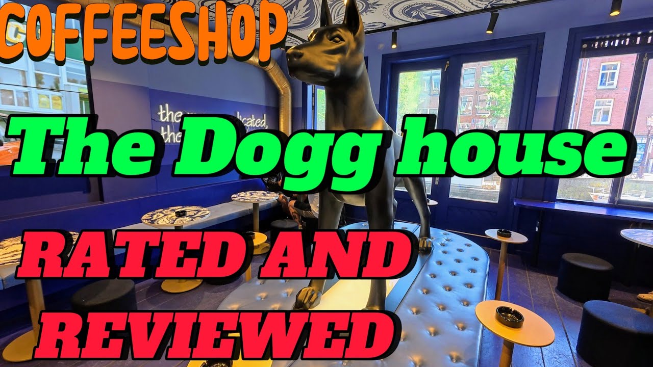 SNOOP DOGGS AMSTERDAM COFFEESHOP - Tha Dogg house - Rated and reviewed 2025