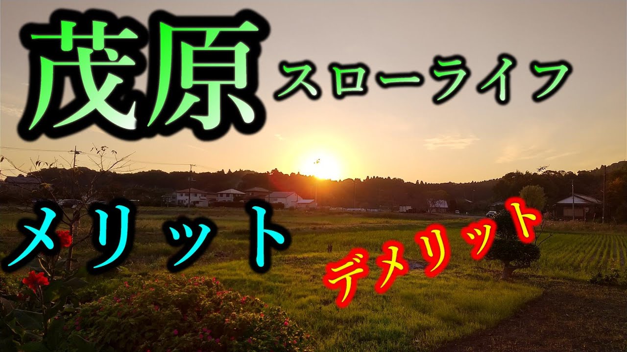 最強！否、最凶か！千葉県茂原市スローライフ。東金と荒野の死闘