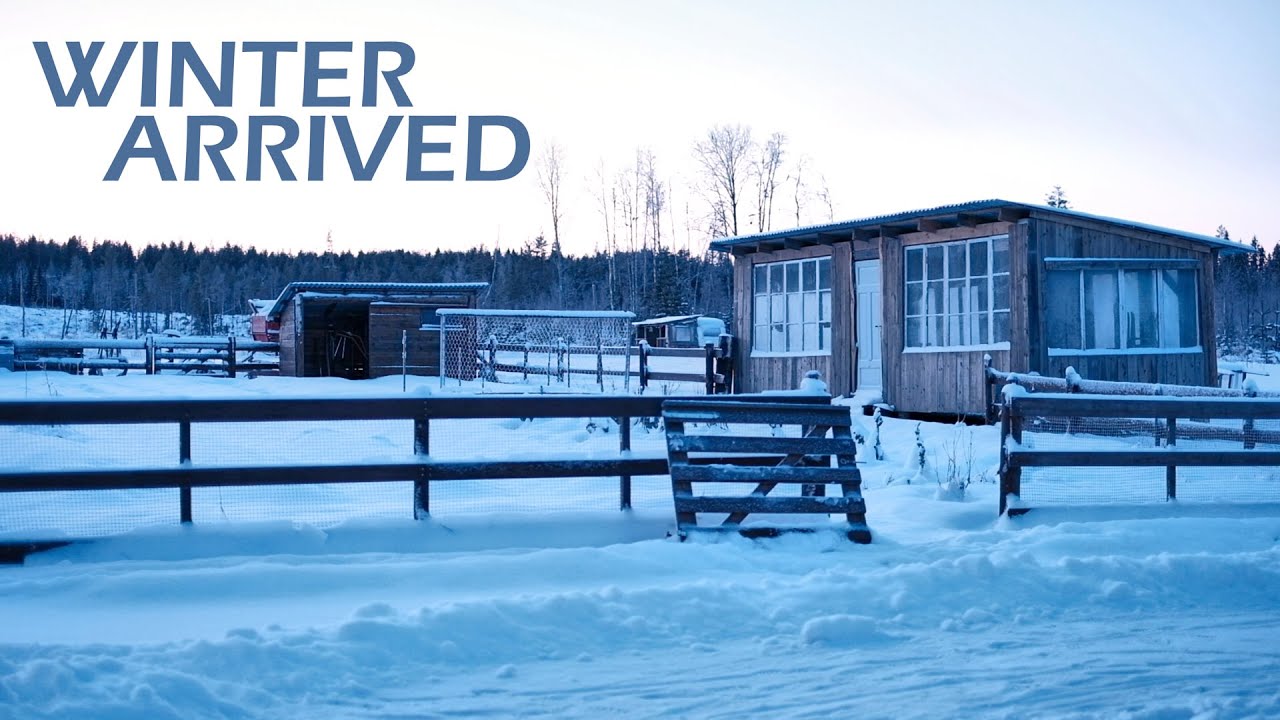 -30. О хозяйстве и проблемах со здоровьем...