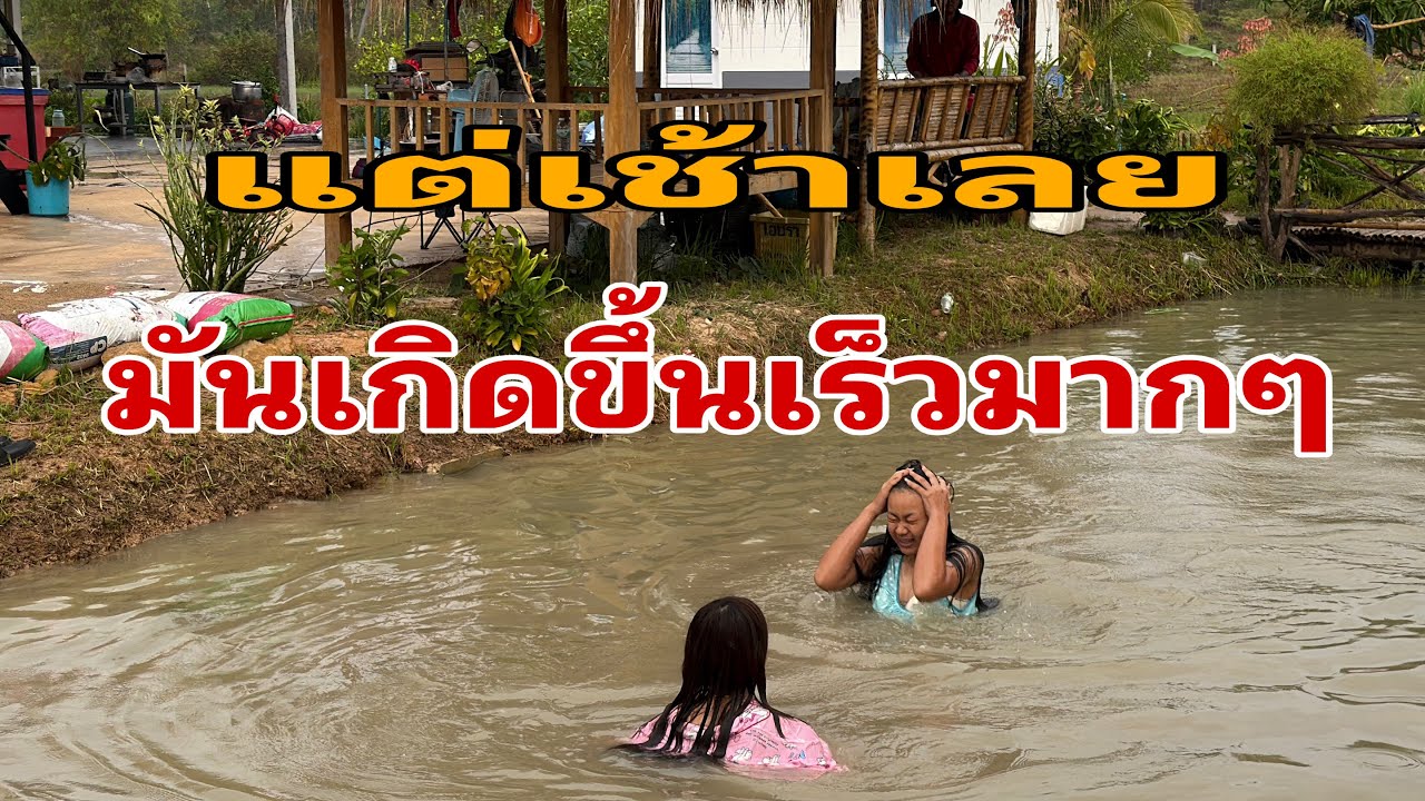 ฝนแรกของปีอากาศดีมากๆ#อุ๋งอิ๋งเพชรบ้านแพง 