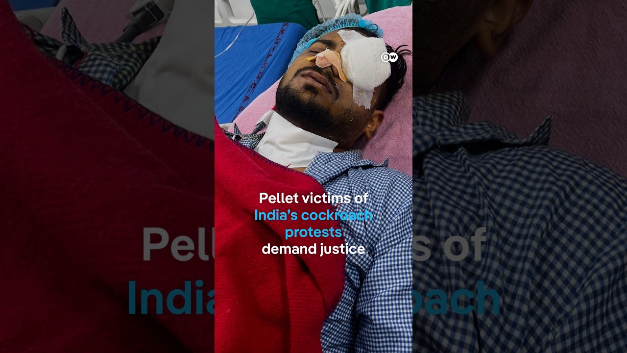 Pellet victims of India&rsquo;s cockroach protests demand justice | DW News