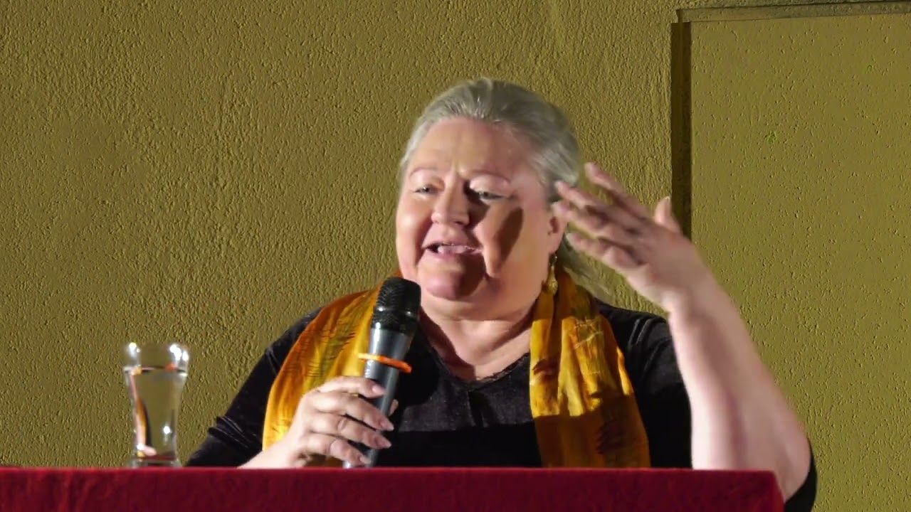 Antje Hermenau bei Krisen und ihre Chancen einem Vortragsabend von  Bürgern für Bürger in Neukirch