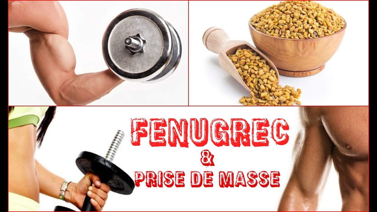 #graines germées# Le fenugrec anabolisant naturel 🌱 j'alimente ma santé
