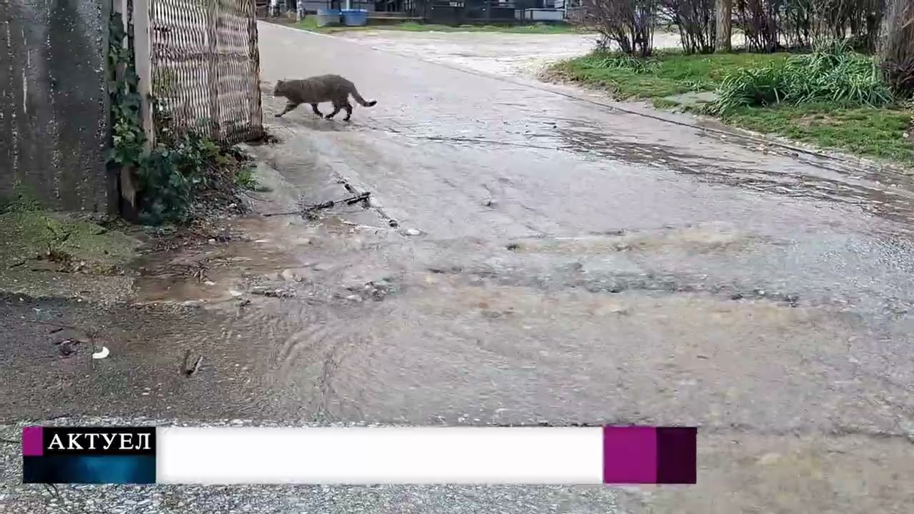 Tv Tera Bitola   Dozdot napravi problem kaj arheoloskiot lokalitet Heraklea 20 02 2026