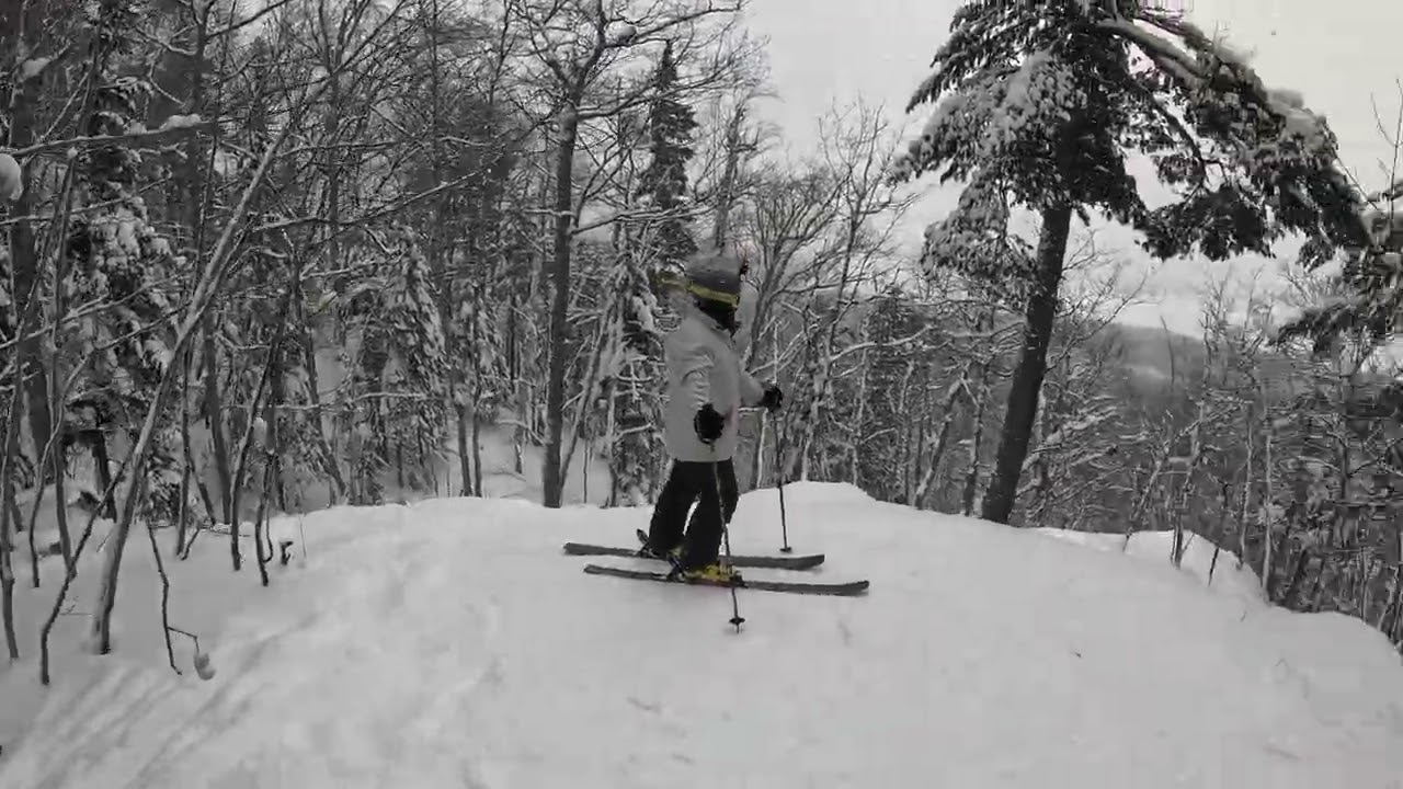 Mount Bohemia - The Bear Den to Outer Limits