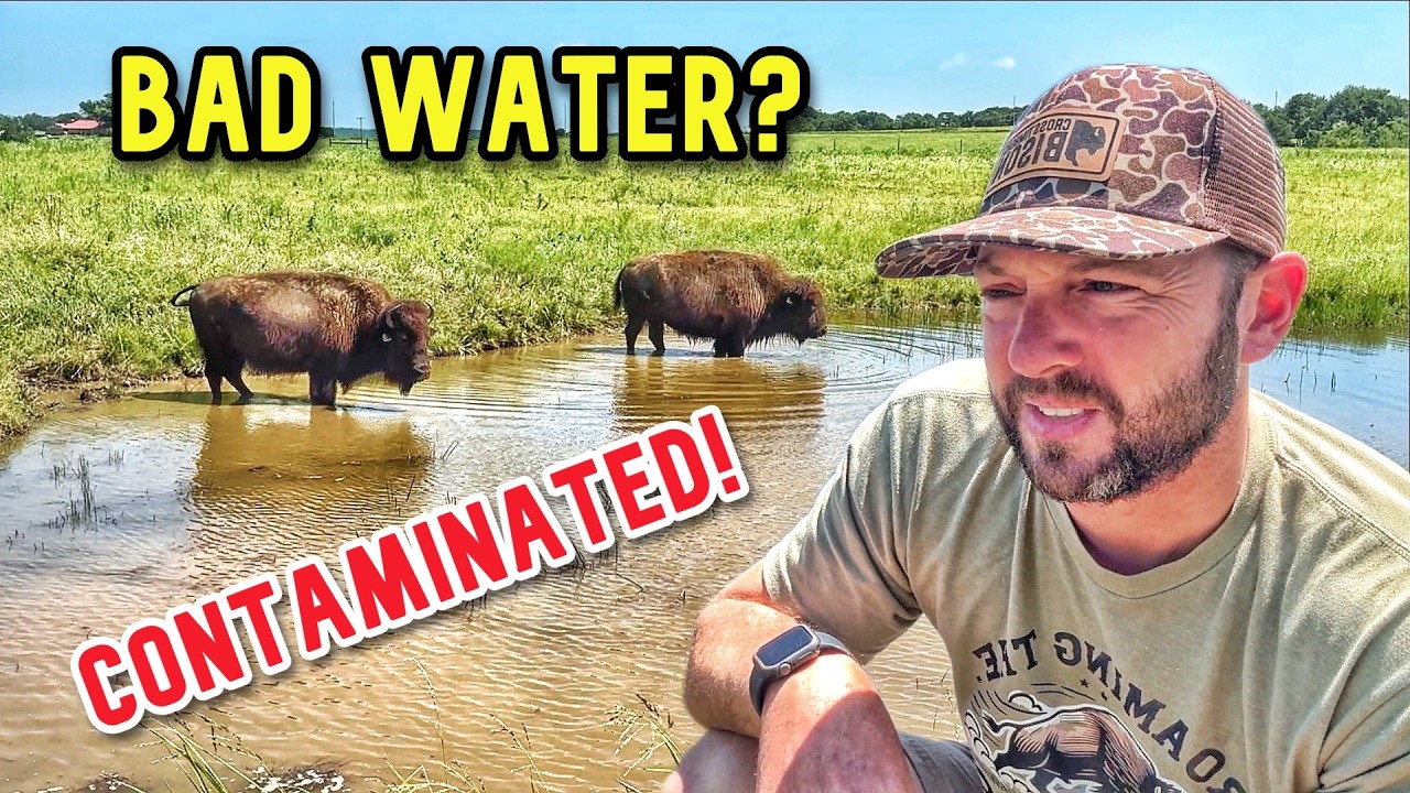 Is This Something We Can Control?