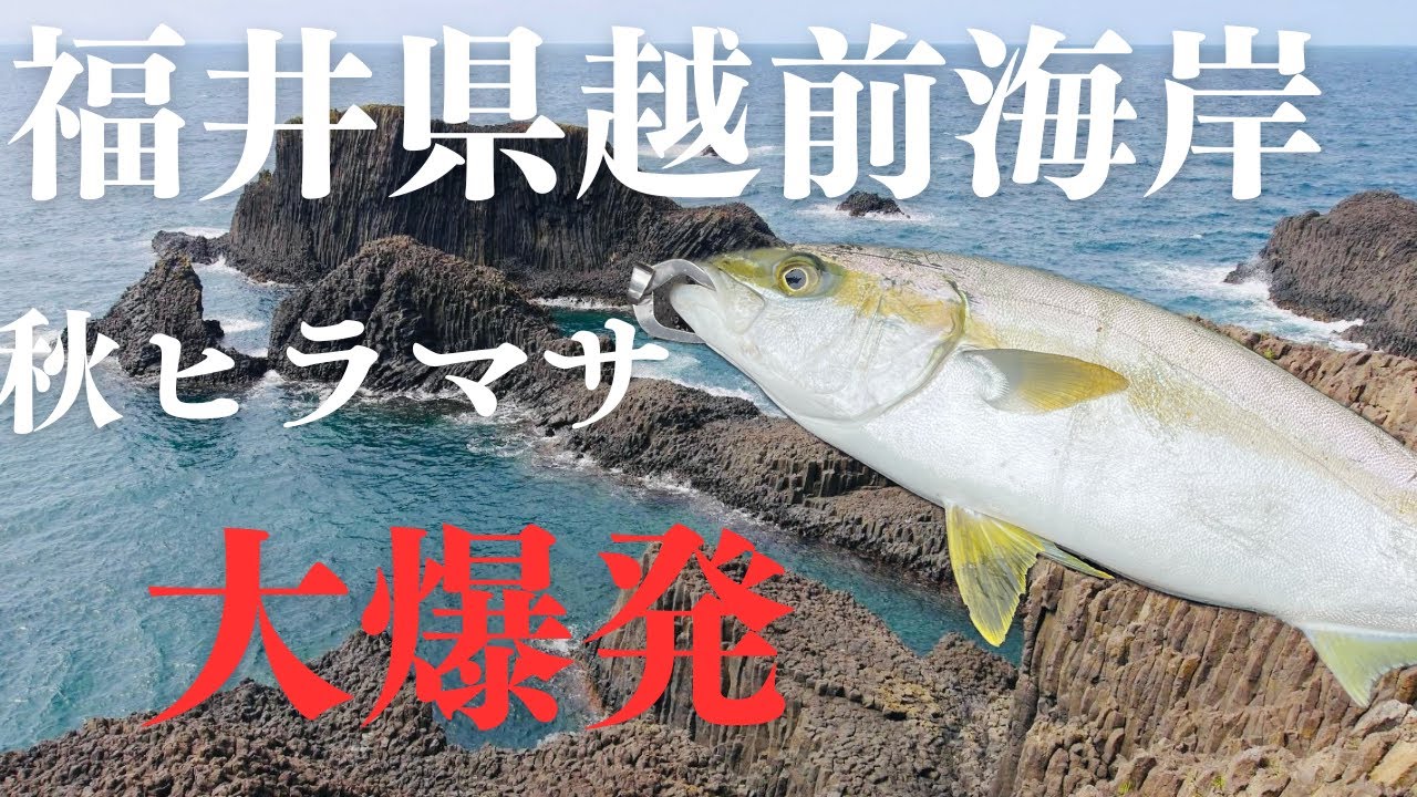 [福井県越前海岸・三国付近]ショアジギング初心者がポッパーを投げていたらヒラマサが釣れた！！目の前で水面爆発する衝撃映像。