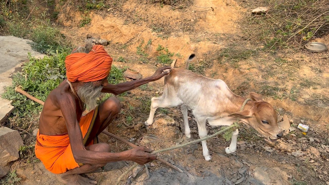 चित्रकूट के सिद्ध संत राधे बाबा के दर्शन 