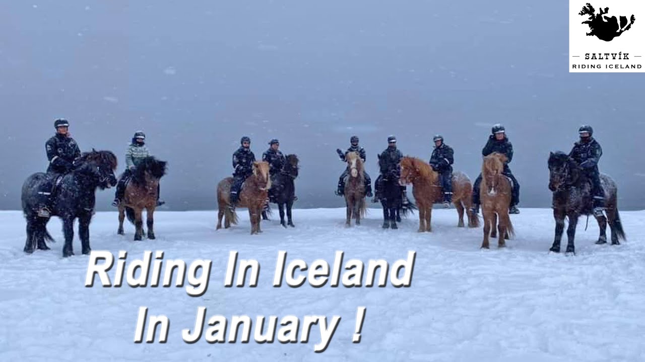 Snow Day !  Riding Horses In Iceland In January !