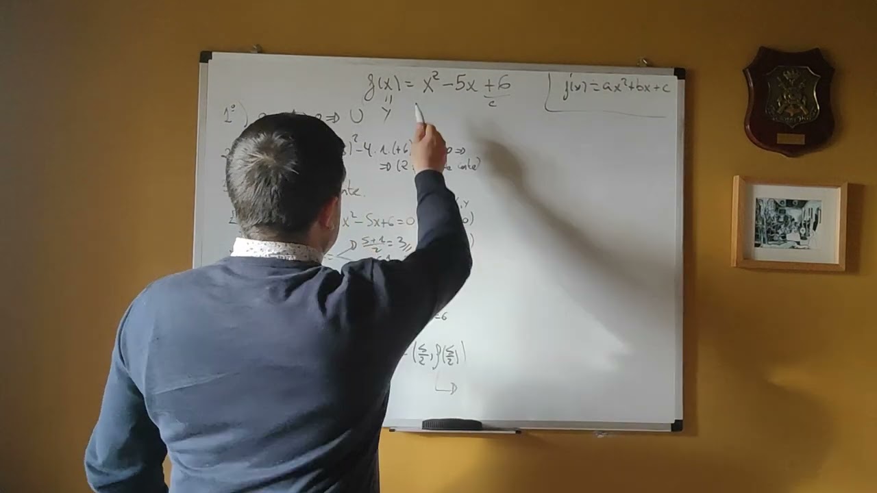 Representación de la función cuadrática.