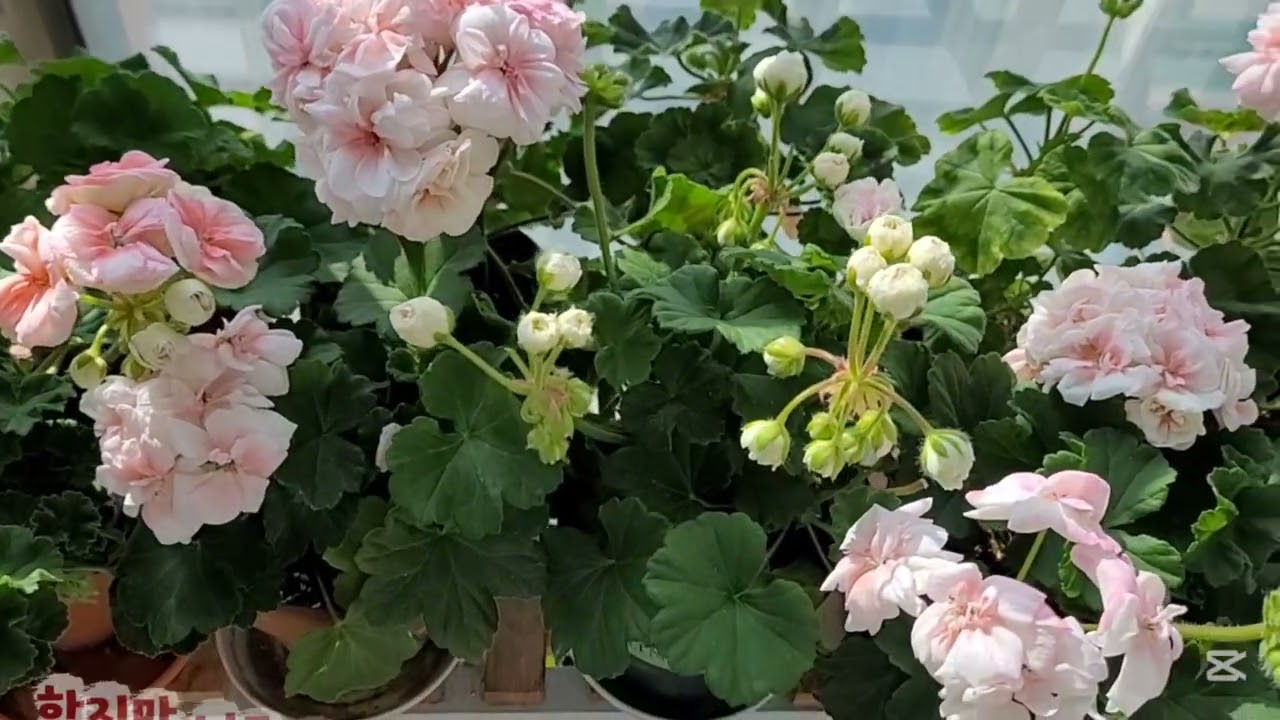 상쾌한 바람,따스한 햇살,그리고 오랜만의 숨 가쁨.