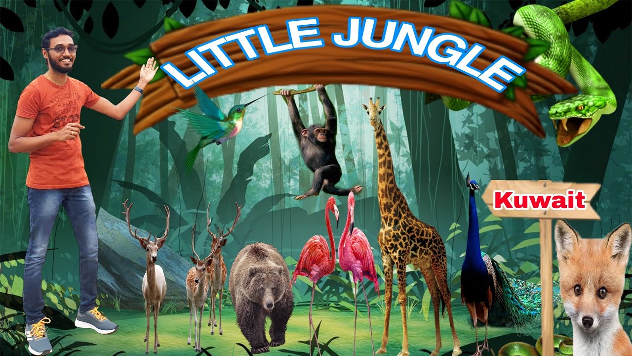 കുവൈറ്റിലെ പുതിയ ZOO  കാഴ്ചകൾ | LITTLE JUNGLE KUWAIT | mini zoo(sulaibiya)Kuwait | Travel N Spices