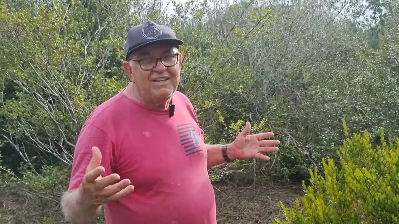 Apresentação de espécies nativas