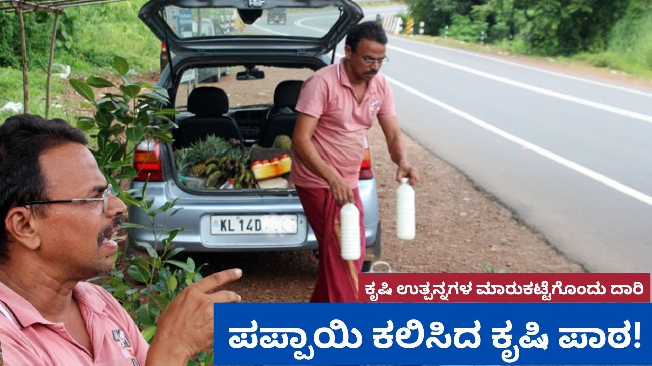 ಪಪ್ಪಾಯಿ ಕಲಿಸಿದ ಕೃಷಿ ಪಾಠ