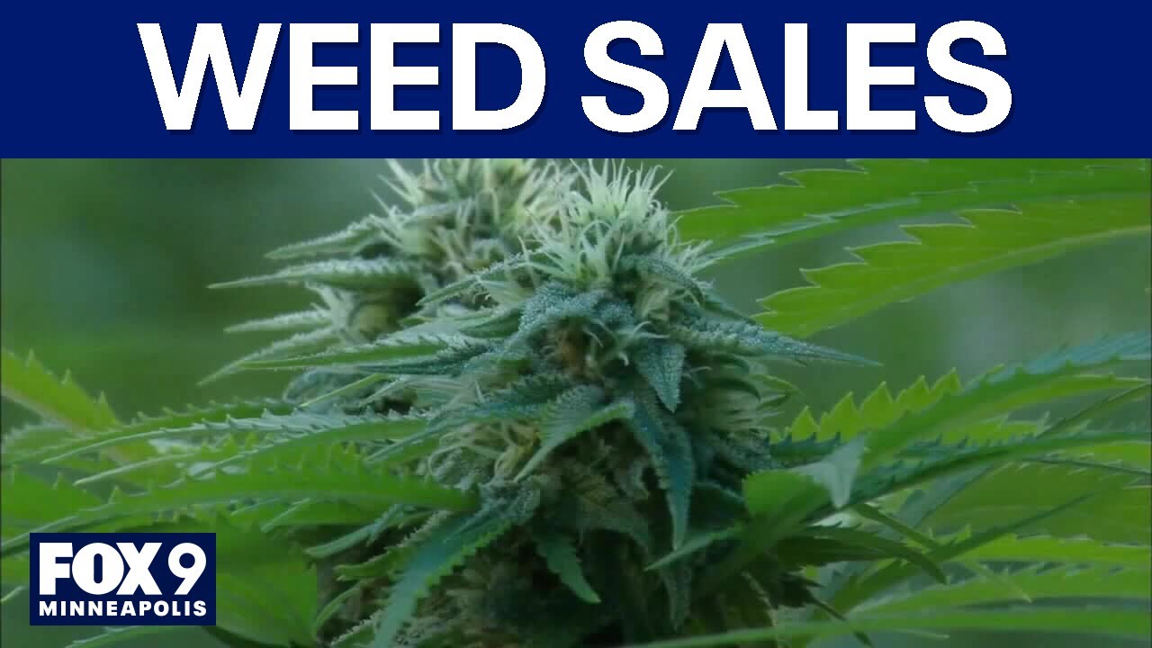 Non-tribal cannabis dispensaries begin selling marijuana