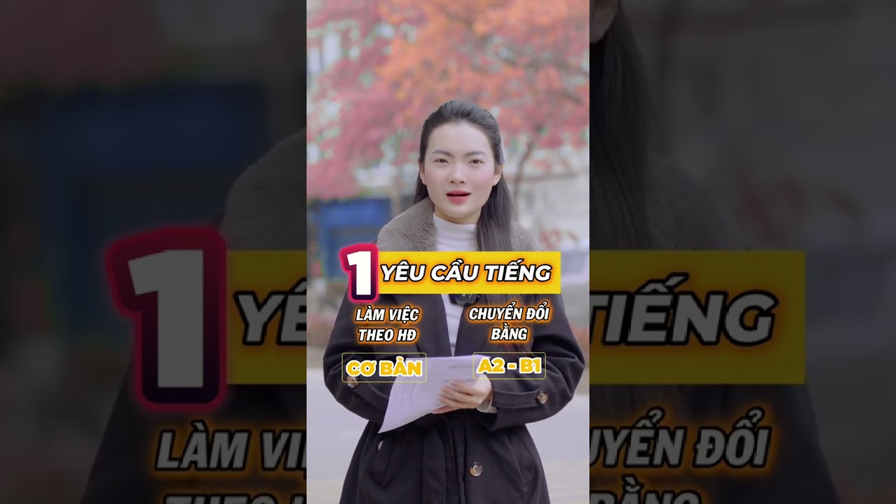 Ctrinh l&agrave;m việc mới ở Đức kh&aacute;c g&igrave; với CĐB? #xkld #xkldchauau #shorts #vietphat #chuyendoibang