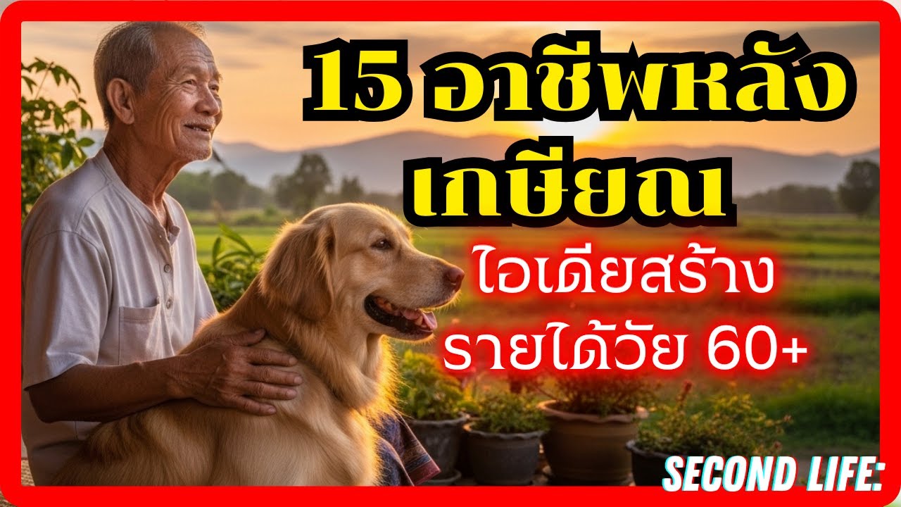15 ไอเดียสร้างรายได้เสริมวัย 60+ เปลี่ยนประสบการณ์เป็นเงิน เกษียณแต่ไม่หยุดเก๋า!
