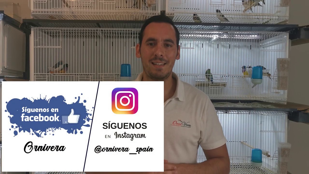 SORTEO MICROPROTEIN+ | WWW.ORNIVERA.COM