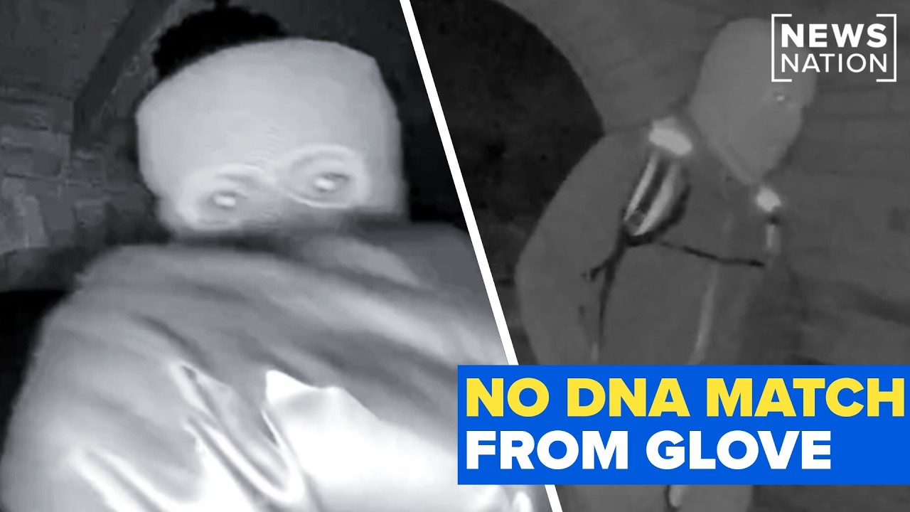 No DNA match from glove near Nancy Guthrie's home | NewsNation Live