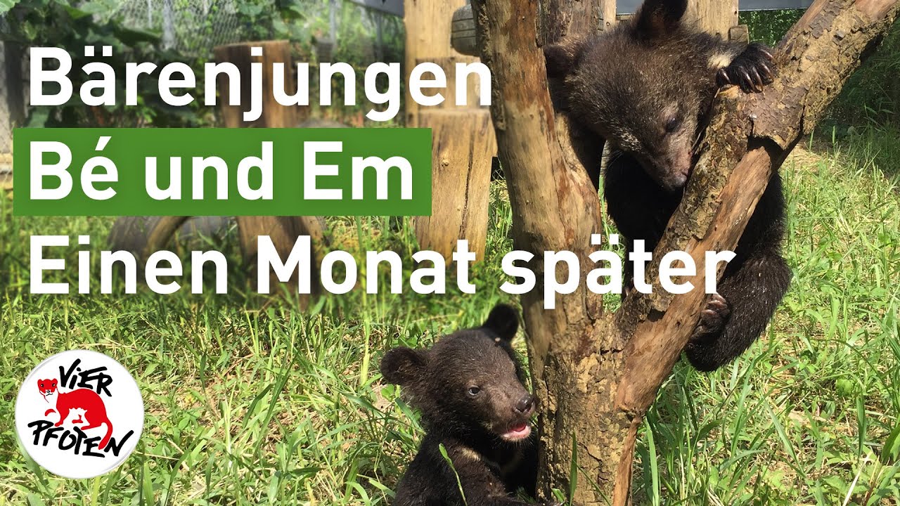 Wie geht es Bé und Em? | VIER PFOTEN