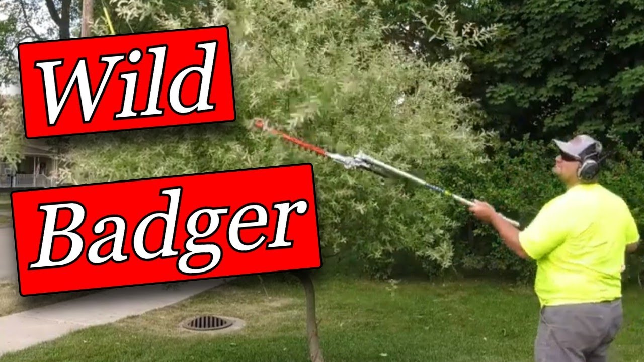 DISAPPOINTED with SUNSEEKER Wild Badger 4 in 1 Multi Tool BUT then THIS Happened