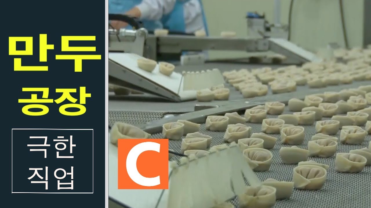 사람과 기계가 함께 빚는 김치손만두! 만두의 핵심 '만두소 공장'