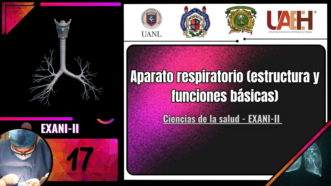 Aparato RESPIRATORIO (estructura y funciones básicas) CIENCIAS DE LA SALUD EXANI II 