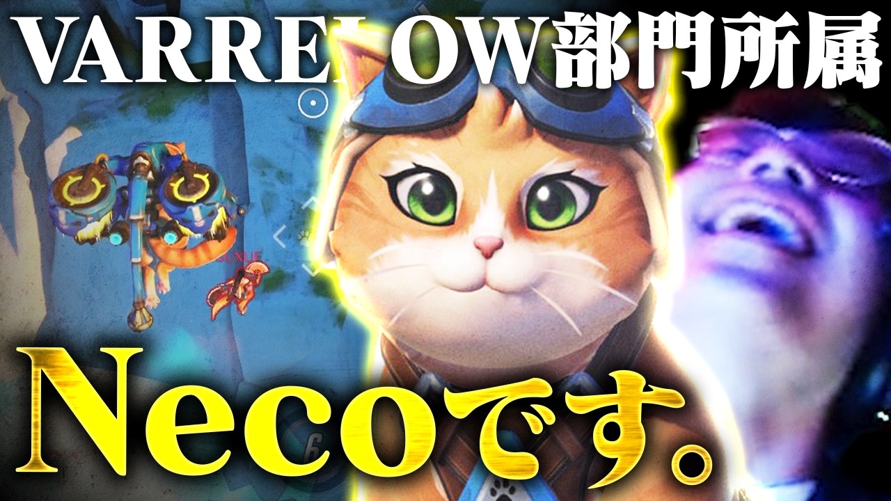 『猫になったんだよな、Nicoは... 』【オーバーウォッチ2 / OW2】