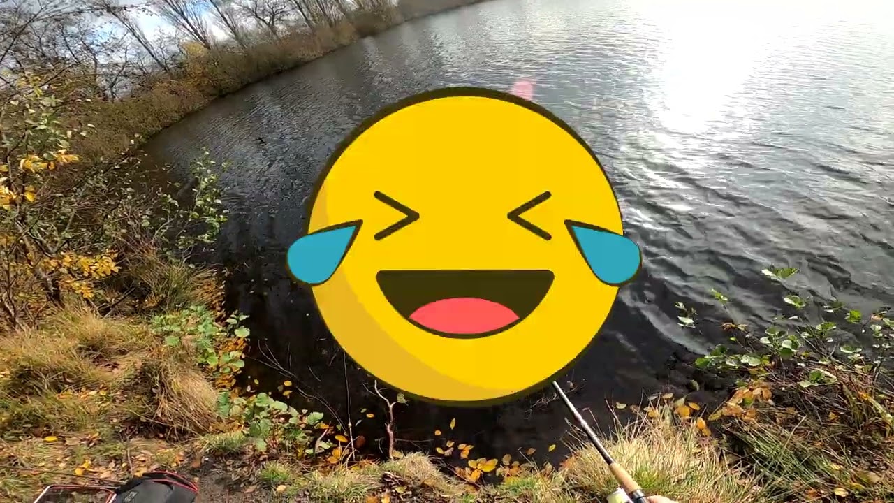 Dirk Ditters & Matze Koch sind fassungslos: Der schlechteste Angler Ostfrieslands versagt komplett!