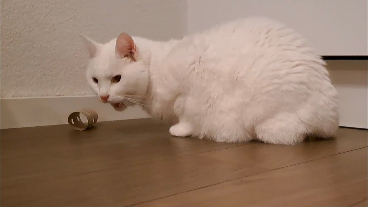I think he has graduated to a roll with smaller holes