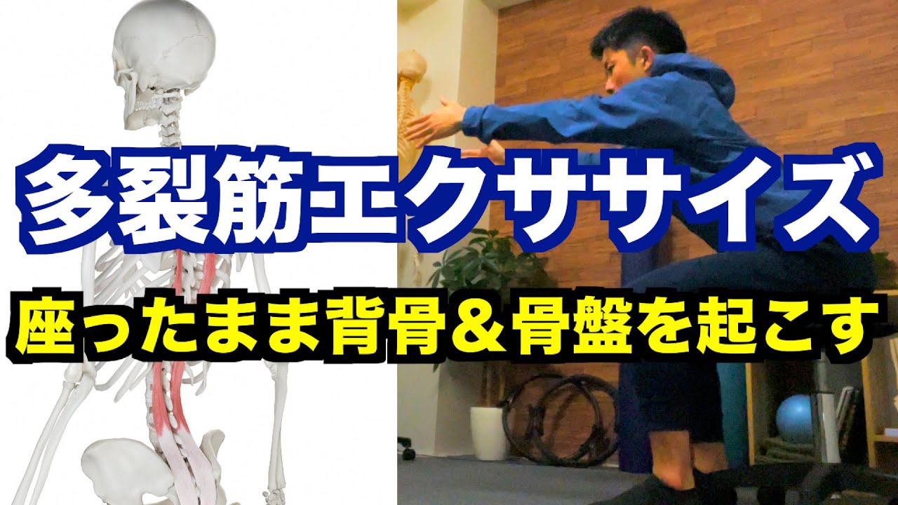 【超シンプル】「座ったまま簡単にできる」背骨と骨盤を起こす筋肉の使い方！「多裂筋エクササイズ」で体幹インナーマッスルをしっかり働かせる！【愛媛県松山市　ピラティス・整体】