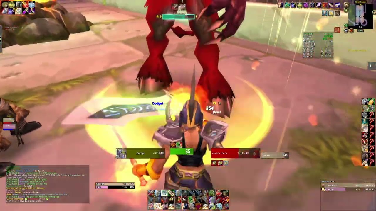 Duo Farm Dire Maul East 200 Gold Per Hour - Warrior Paladin