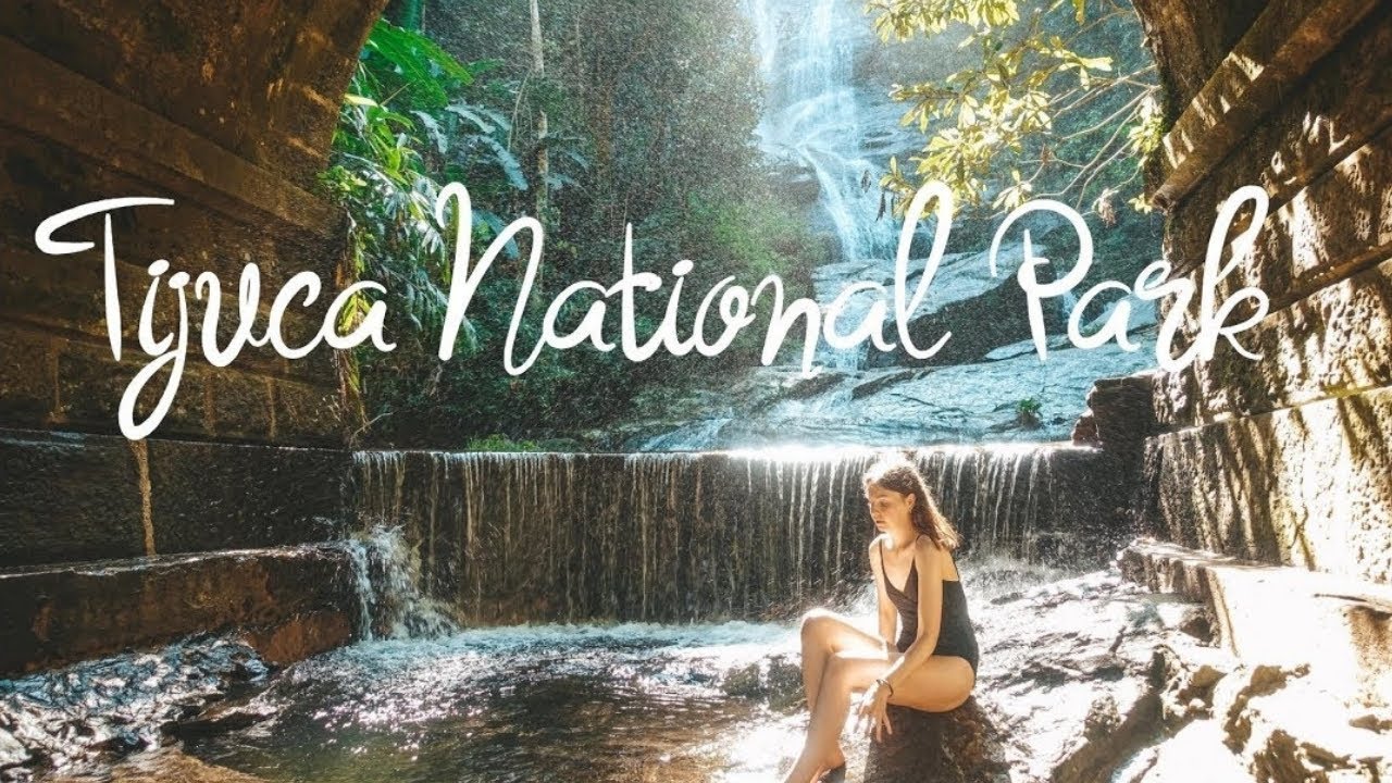 HOW TO VISIT THE RAINFOREST IN BRAZIL