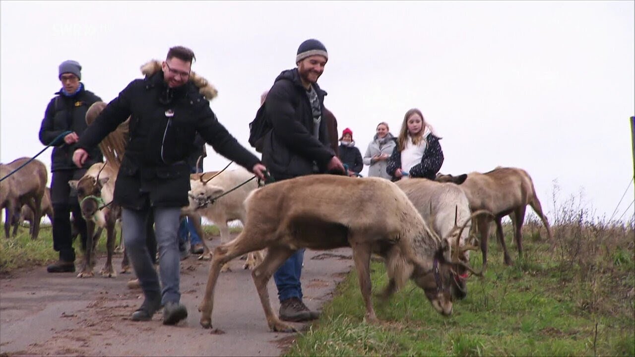 Niederhausen Nahe 2021: Die Rentier Wanderung