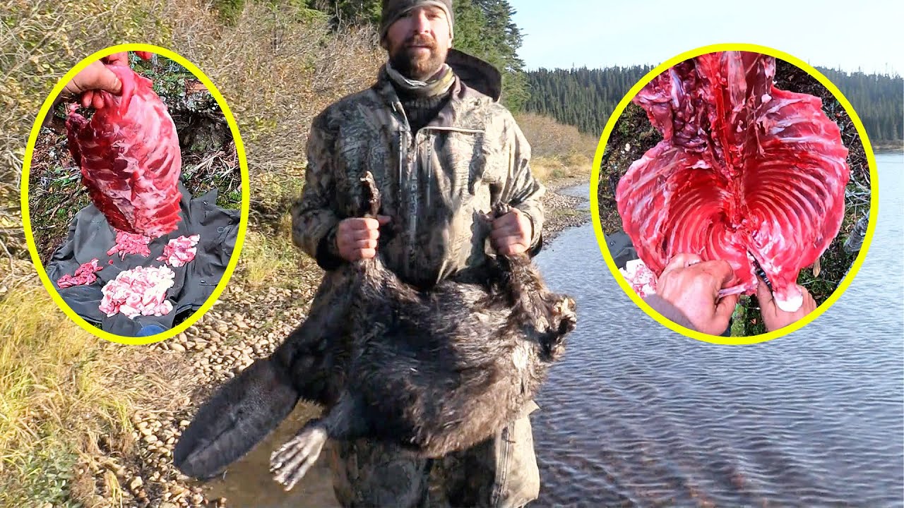 While Others Eat Roots For The $3 Million Prize, He Is Enjoying A Self-Served Beaver Barbecue.