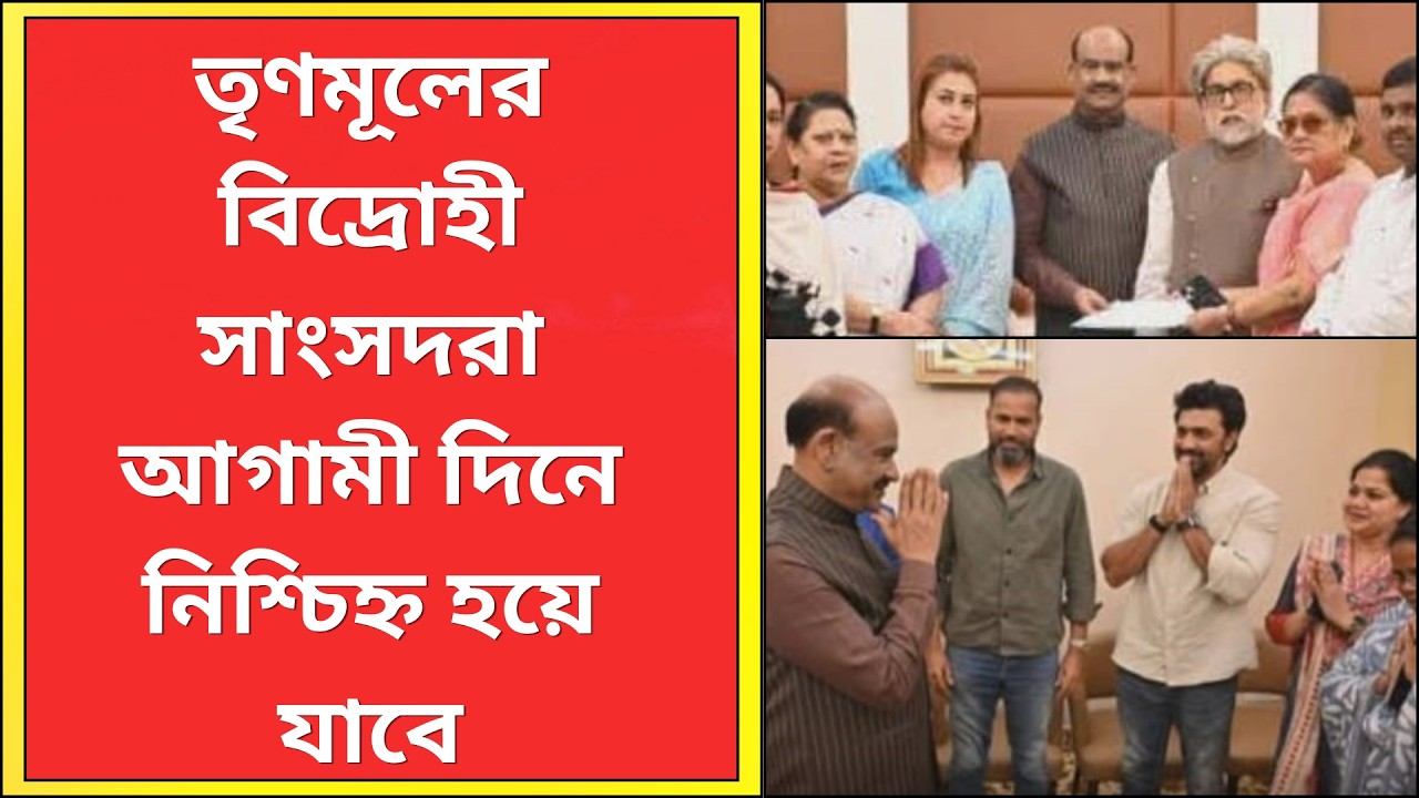 NCPI : তৃণমূলের বিদ্রোহী সাংসদরা আগামী দিনে নিশ্চিহ্ন হয়ে যাবে | What News Bangla |