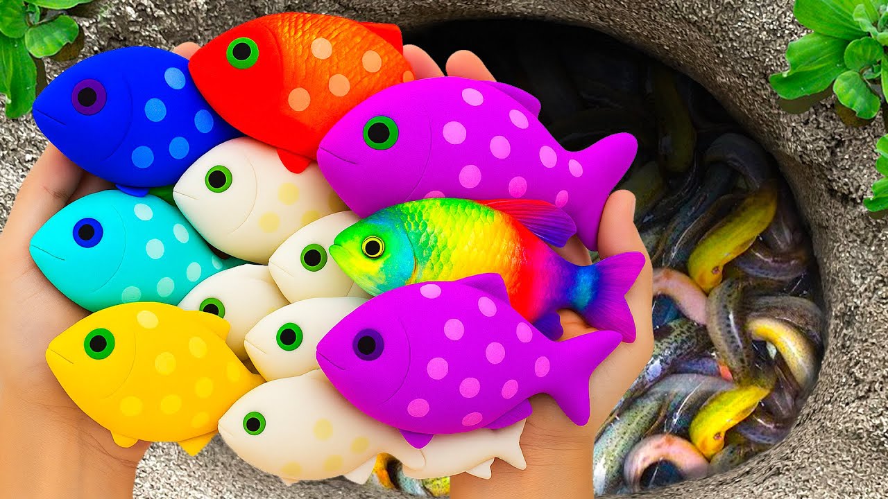 Catch Ornamental Fish in Giant Colorful Eggs, Tropical Fish, Dragon Guppy, Purple Tiger Fish, Koi