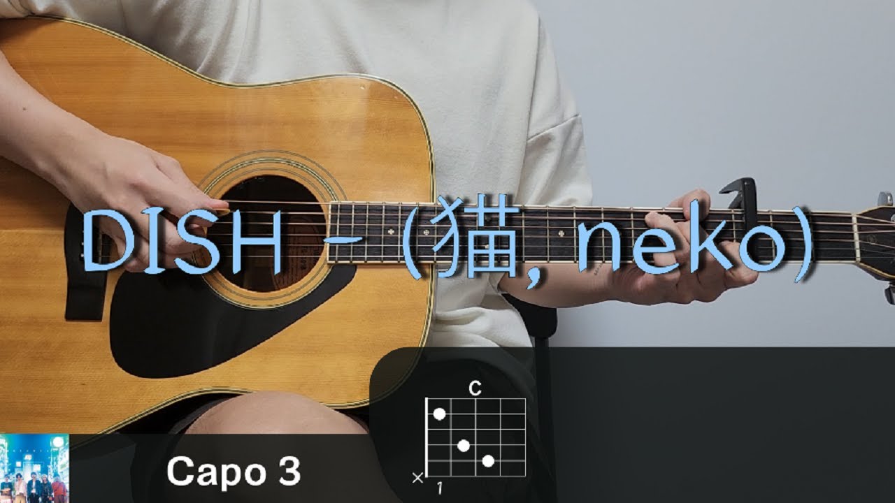 DISH - 고양이 (猫, neko) 기타 코드, 커버, 타브 악보 l Guitar cover, Acoustic, Chord, Tutorial