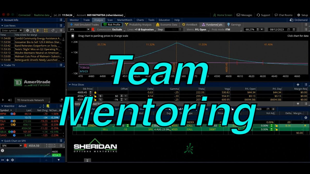 Team Mentoring