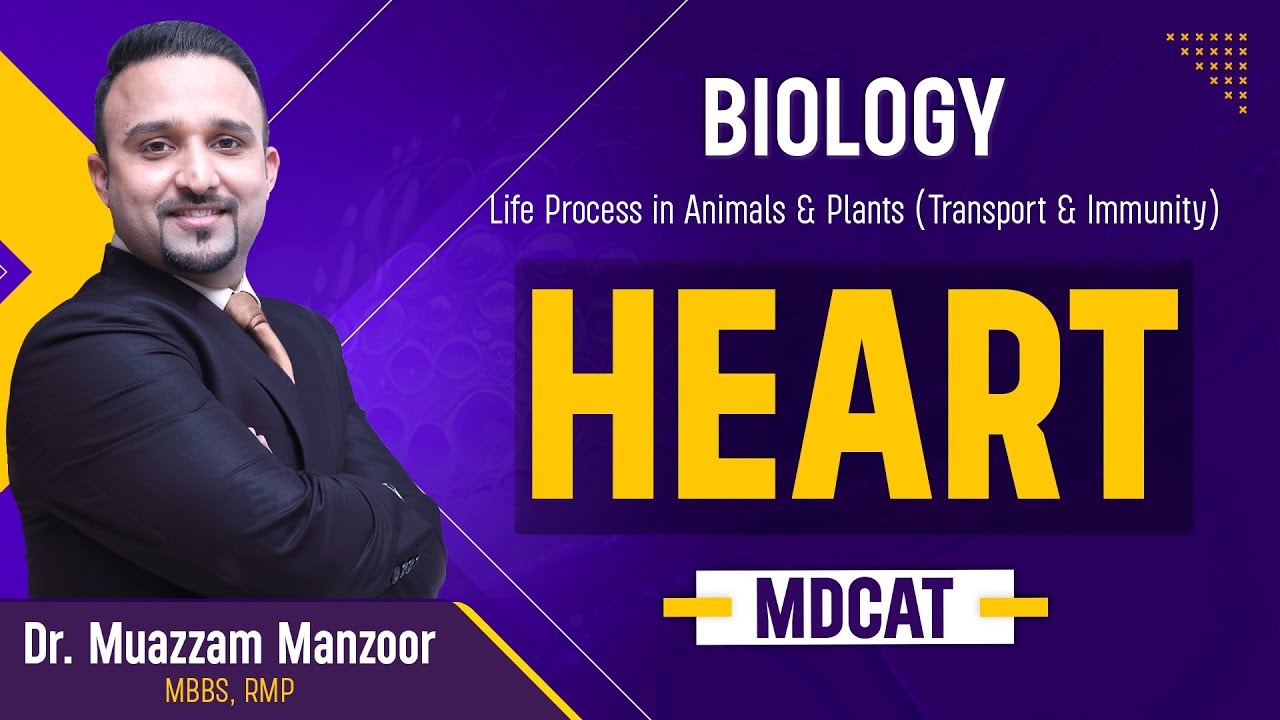 55. Biology | Life Process in Animals and Plants | Heart - 11.1 to 11.3 | MDCAT 2026