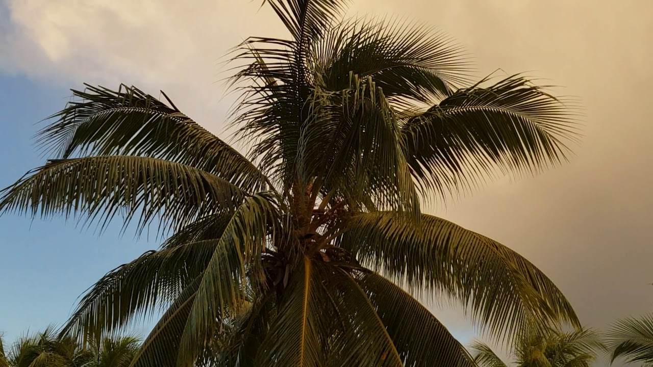 Brisas Guardalavaca 4*. Часть 1 ноябрь 2018