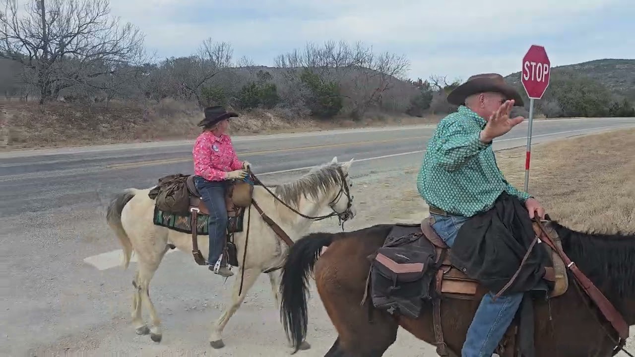 February 8, 2026 - crossing the highway 
