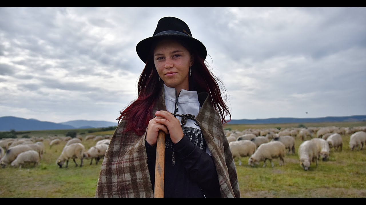 CIOBANITA ANDREEA CAPOTA DIN SIBIU - TURMA DE 1000 DE OI - 15 LUPI AU ATACAT STANA !